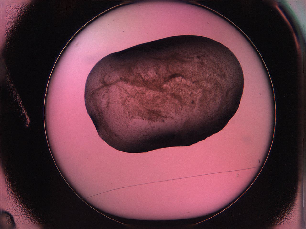 061o_A3_ImagerDefaults_3.jpg