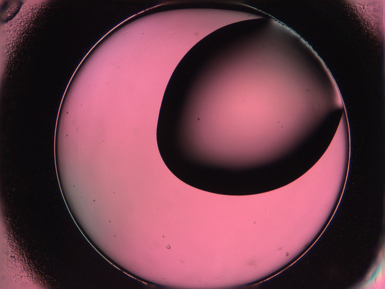 061o_D8_ImagerDefaults_0.jpg
