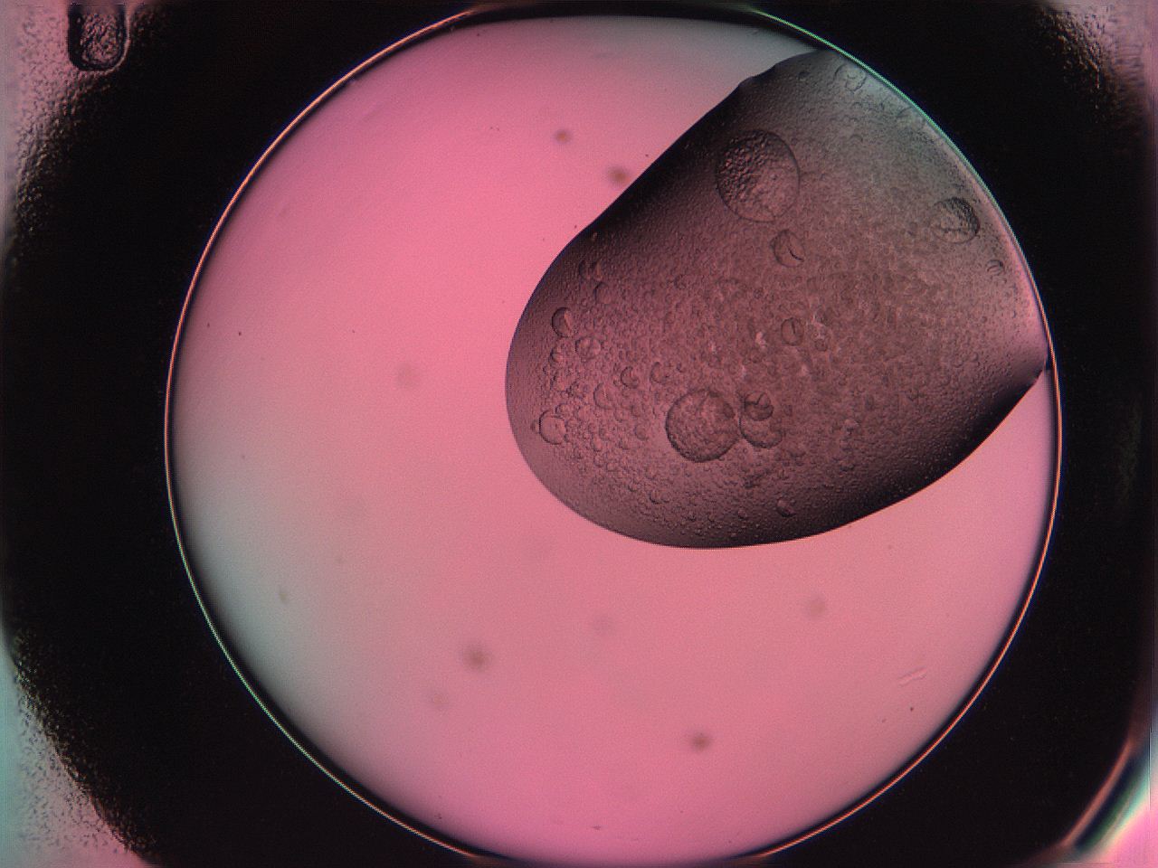 061o_D11_ImagerDefaults_3.jpg