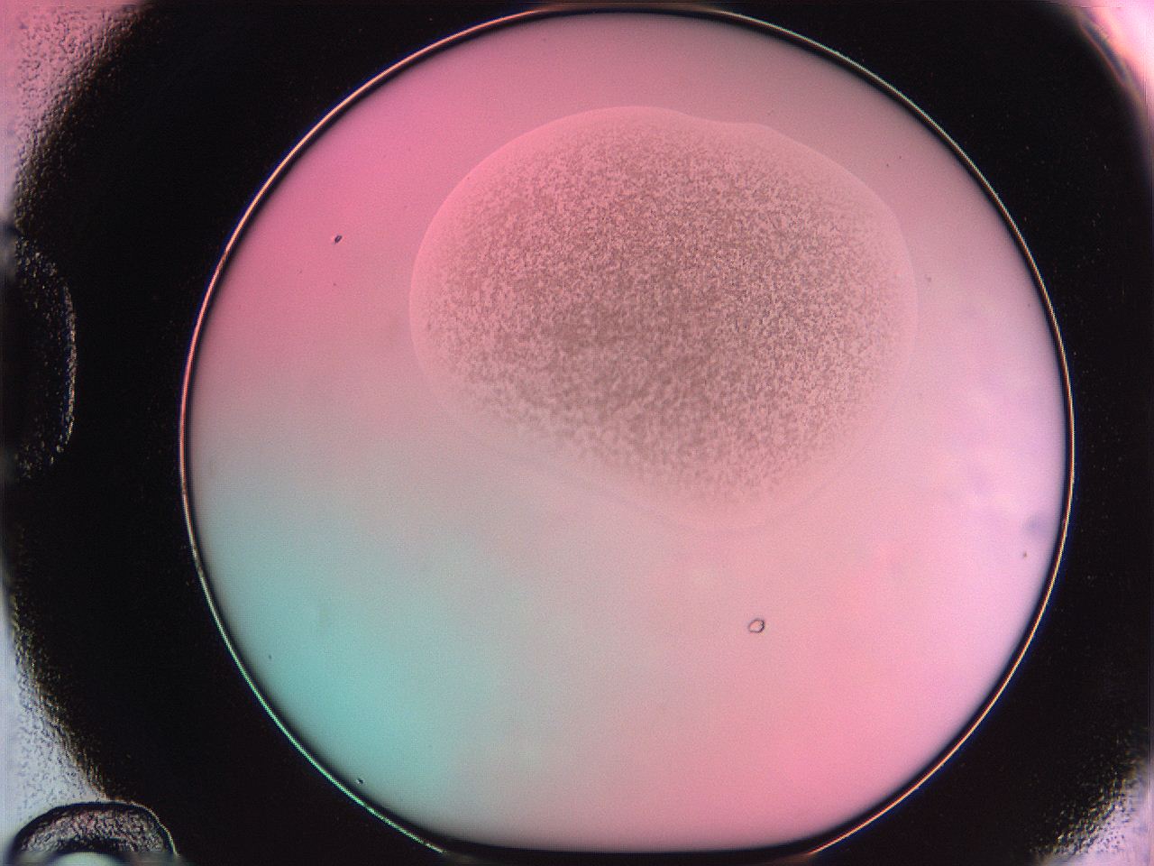 061o_D12_ImagerDefaults_3.jpg