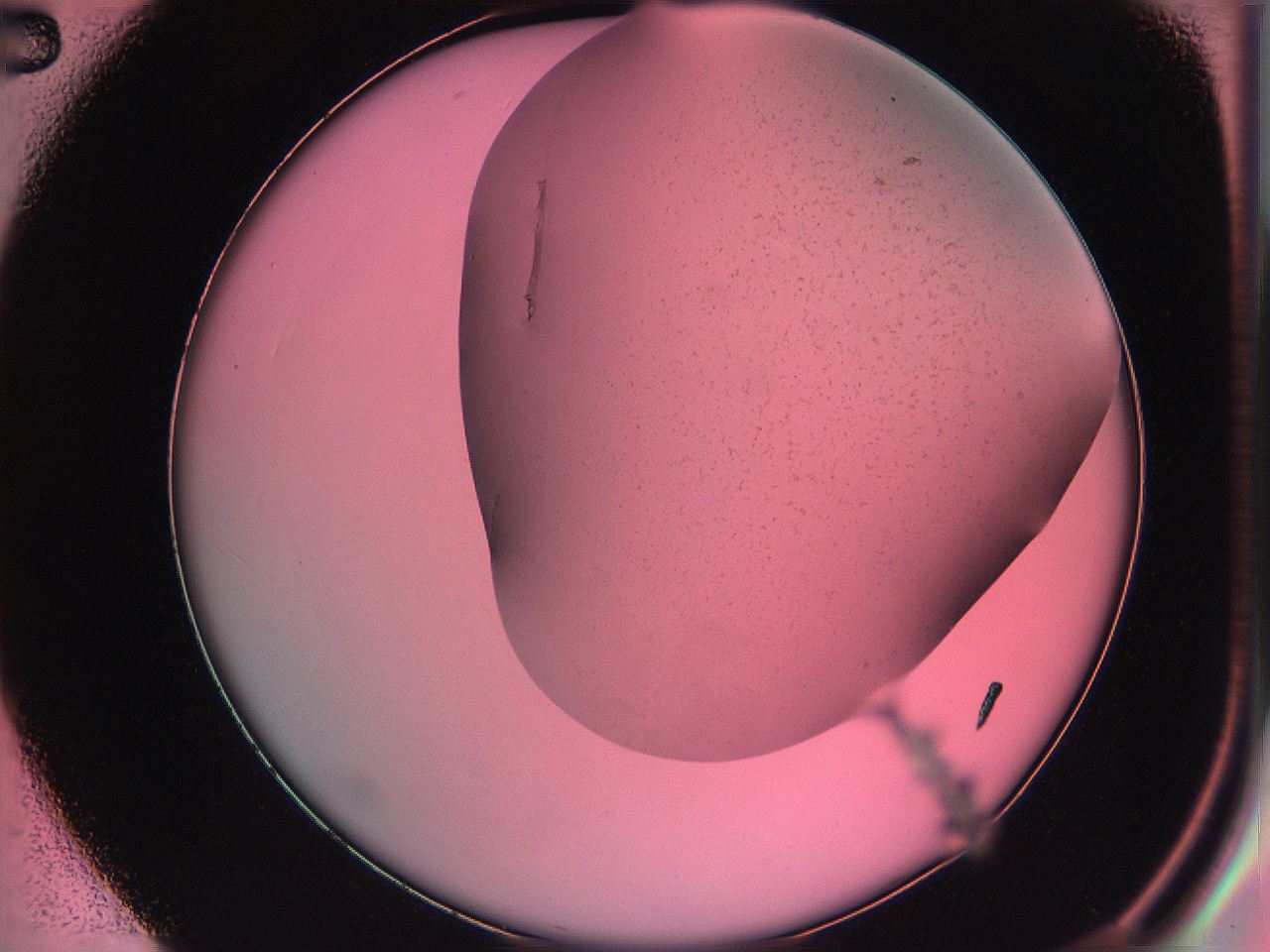 061o_C2_ImagerDefaults_3.jpg