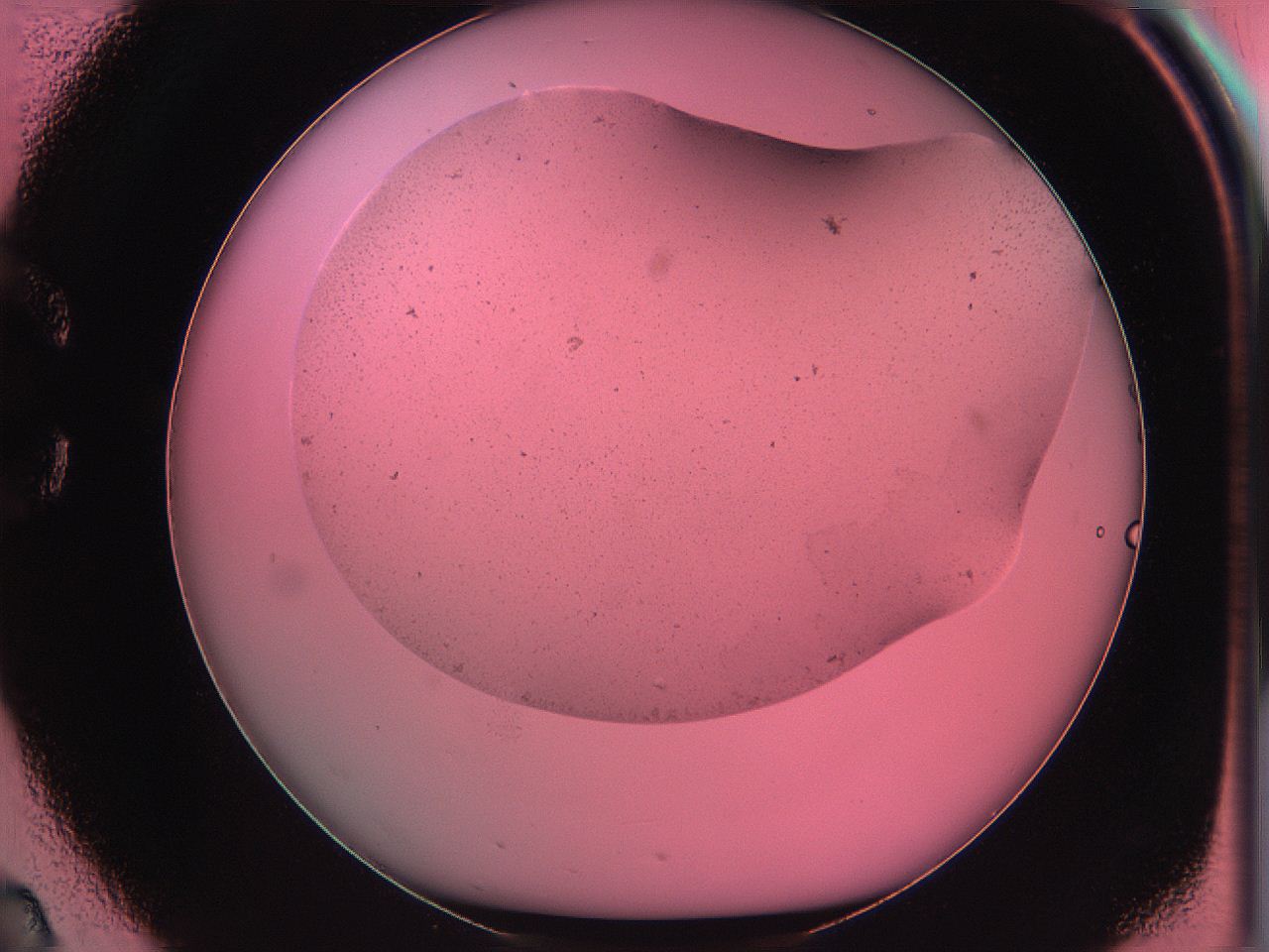 061o_C2_ImagerDefaults_0.jpg