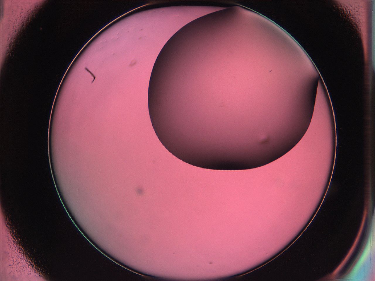 061o_C1_ImagerDefaults_0.jpg