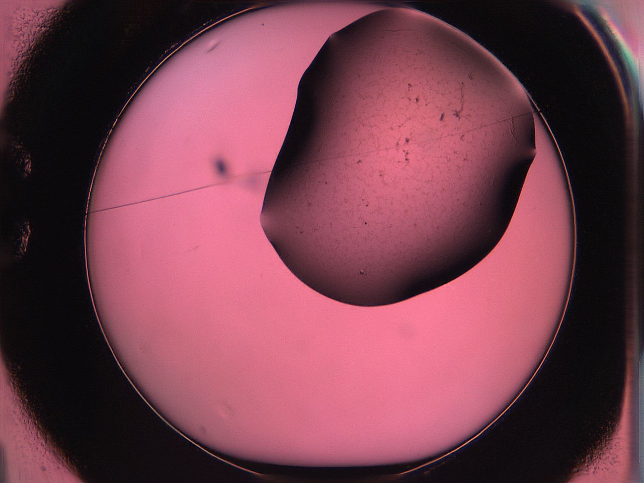 061o_C1_ImagerDefaults_3.jpg