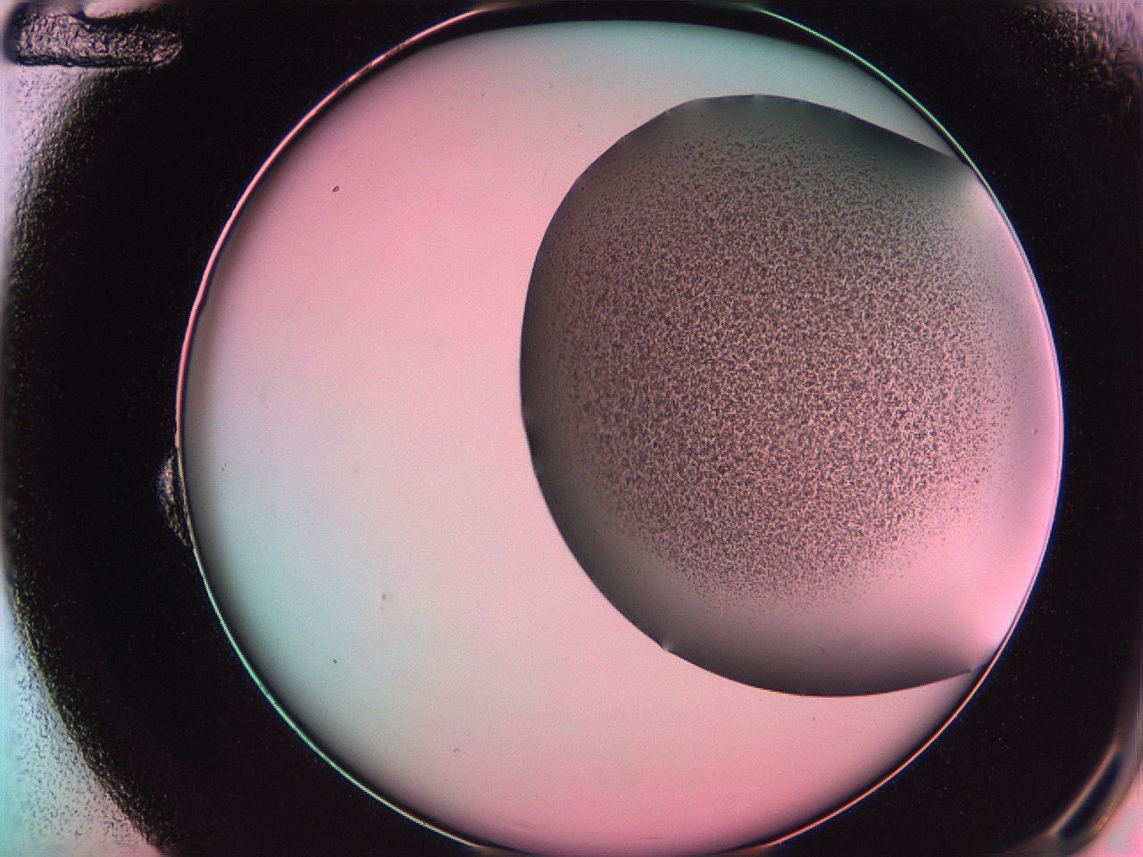 061o_B12_ImagerDefaults_3.jpg