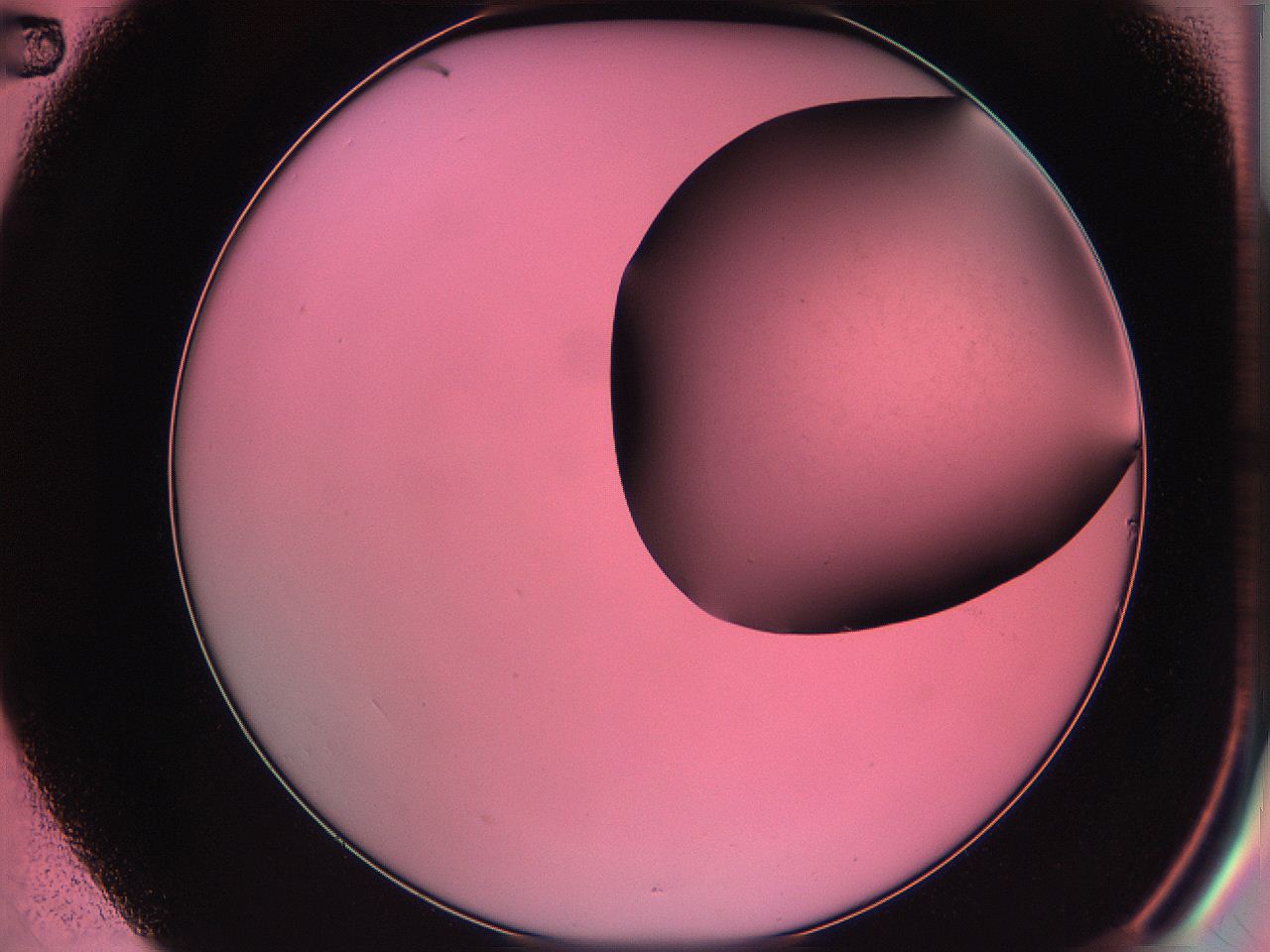 061o_B2_ImagerDefaults_0.jpg