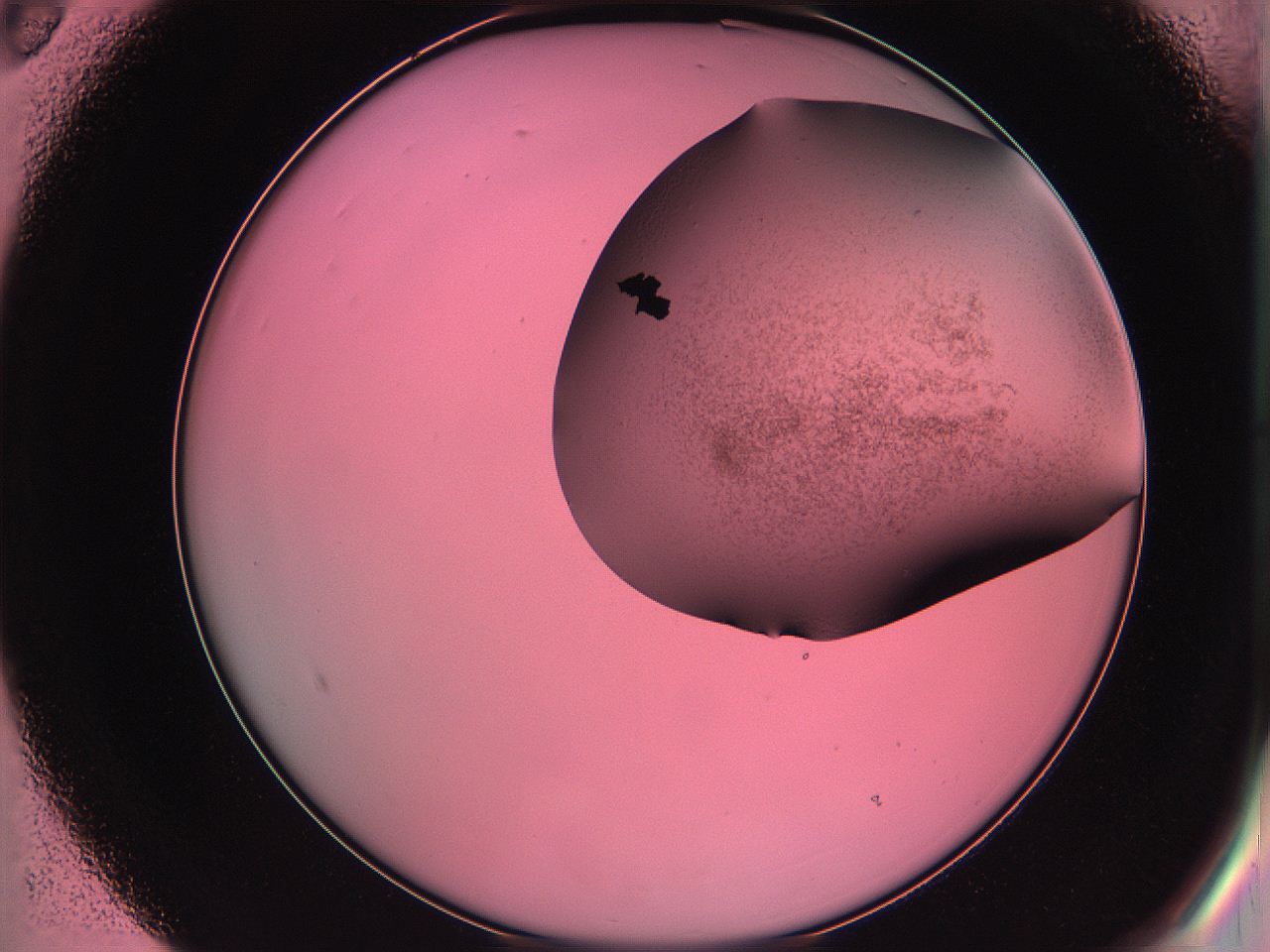 061o_B3_ImagerDefaults_3.jpg