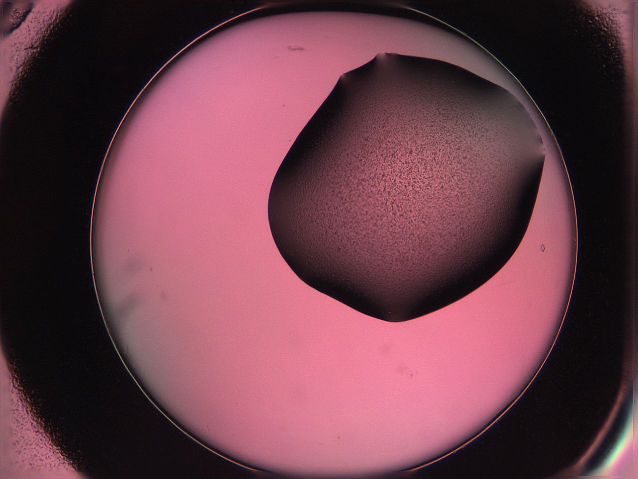 061o_B5_ImagerDefaults_3.jpg