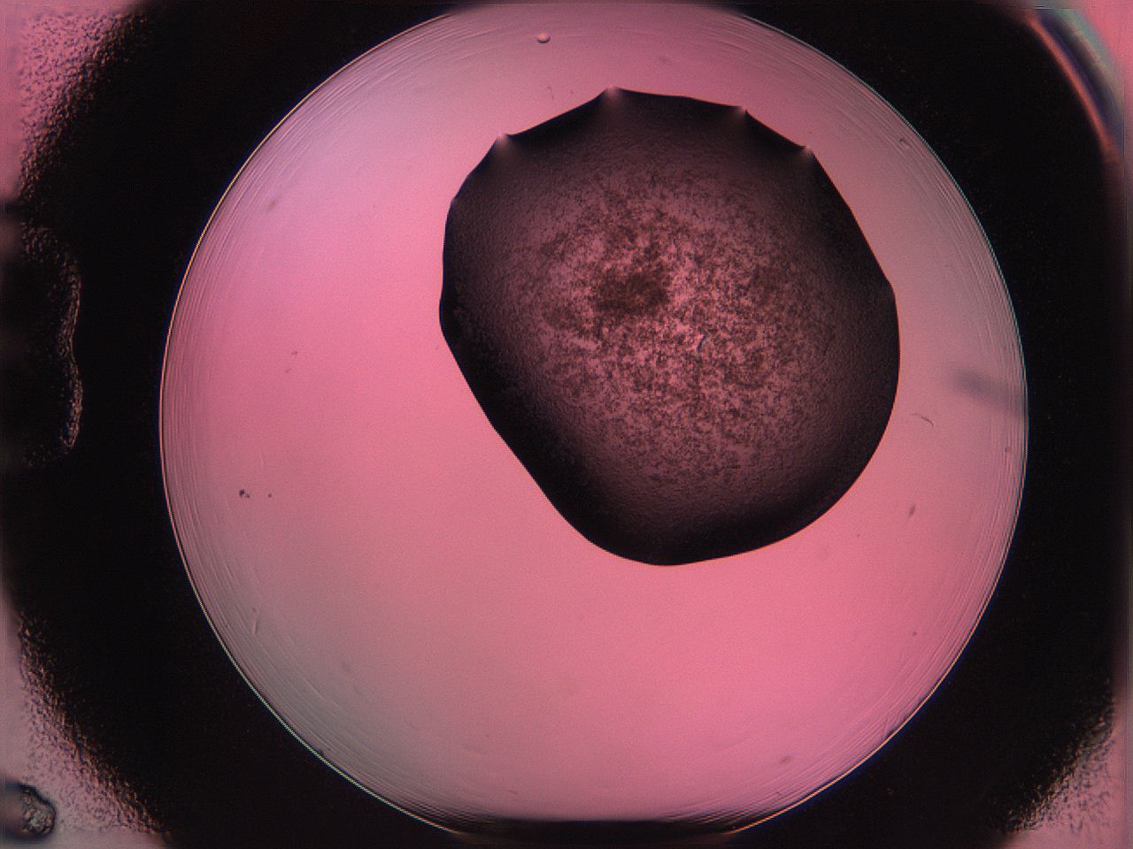 061o_B6_ImagerDefaults_3.jpg