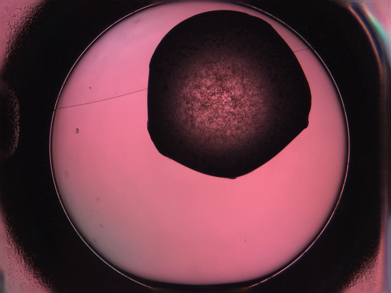 061o_D1_ImagerDefaults_3.jpg