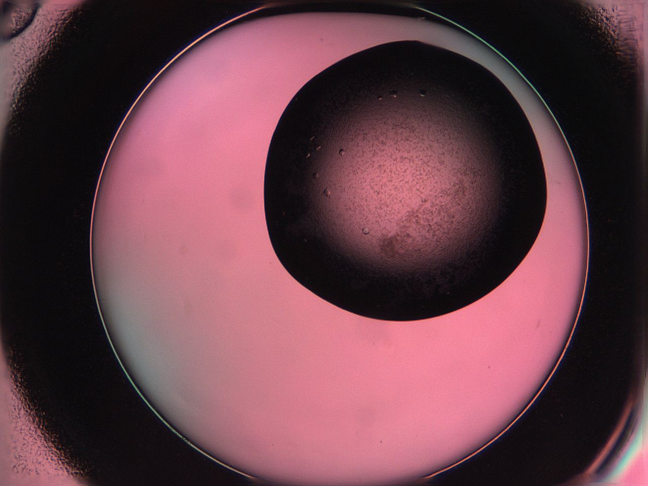 061o_D6_ImagerDefaults_9.jpg