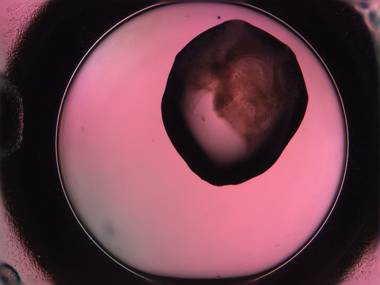 061o_D9_ImagerDefaults_3.jpg