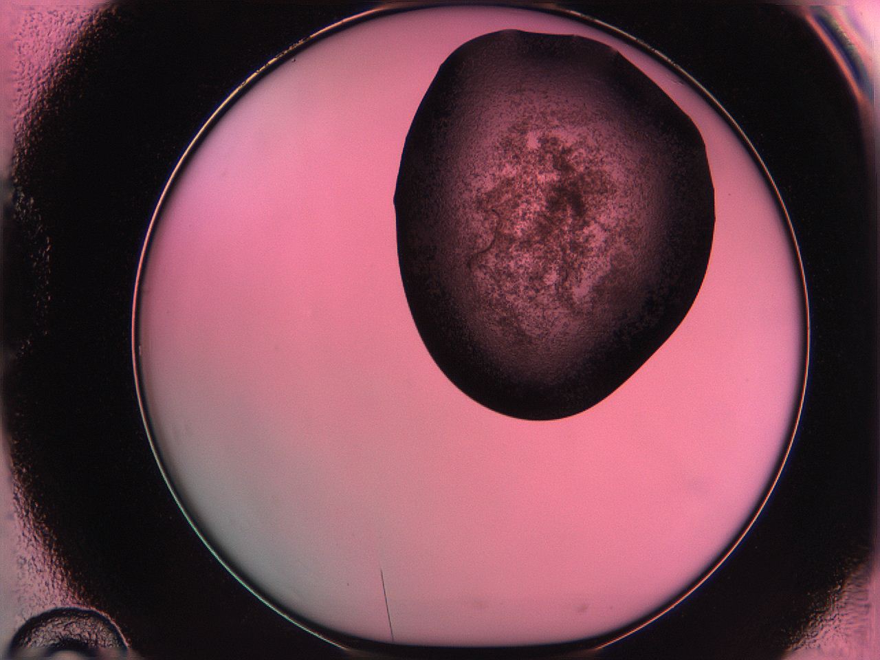 061o_D10_ImagerDefaults_3.jpg