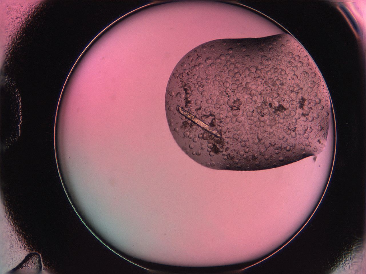 061o_D11_ImagerDefaults_5.jpg