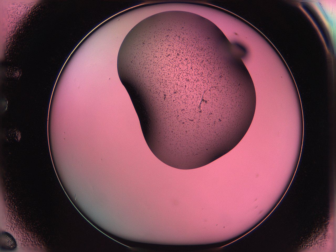 061o_E6_ImagerDefaults_3.jpg