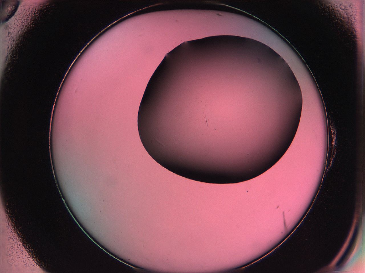061o_E6_ImagerDefaults_0.jpg