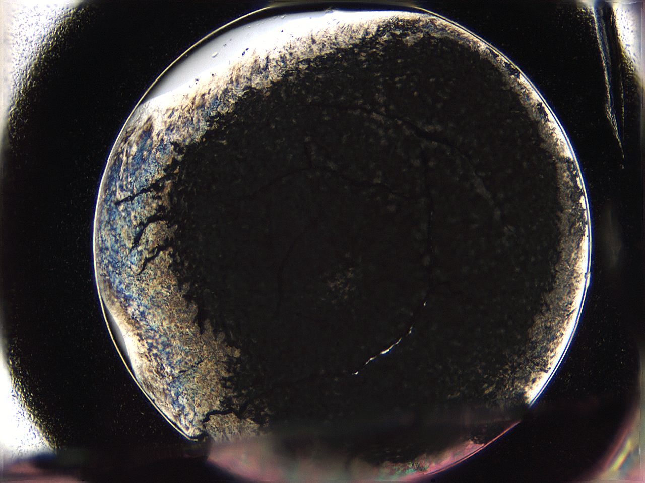 061o_E7_ImagerDefaults_9.jpg