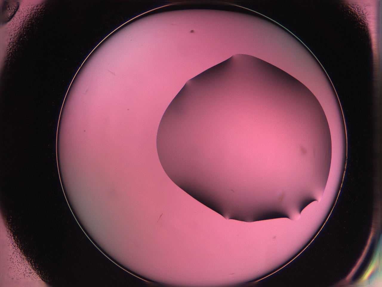 061o_E8_ImagerDefaults_0.jpg