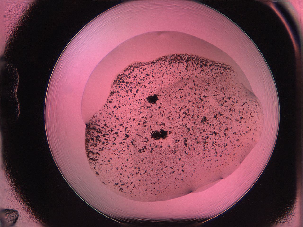 061o_B7_ImagerDefaults_3.jpg