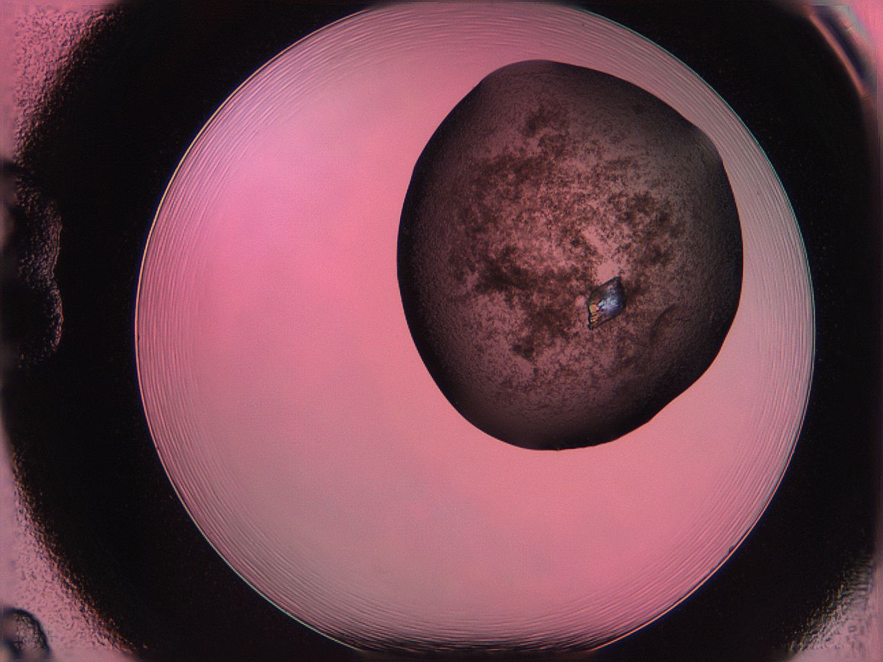 061o_B8_ImagerDefaults_3.jpg