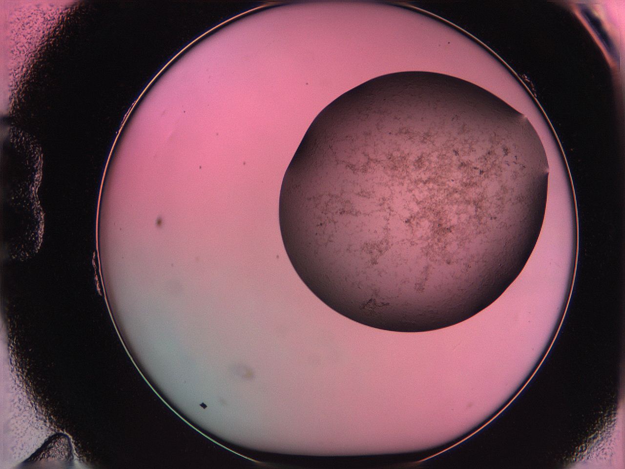 061o_B11_ImagerDefaults_3.jpg