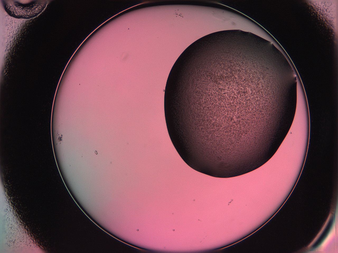 061o_B10_ImagerDefaults_3.jpg