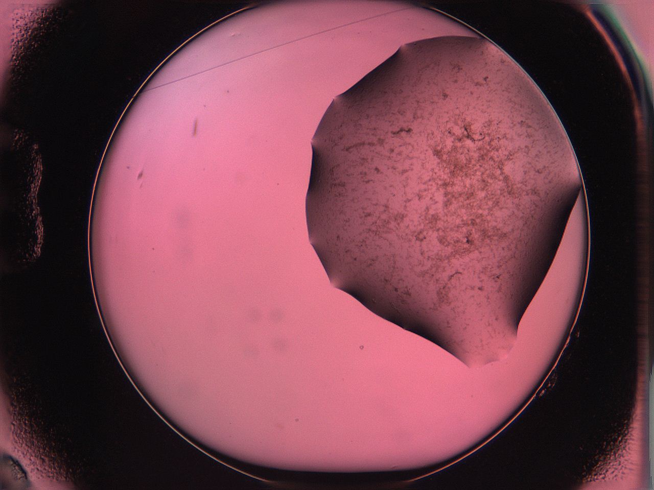 061o_B2_ImagerDefaults_3.jpg