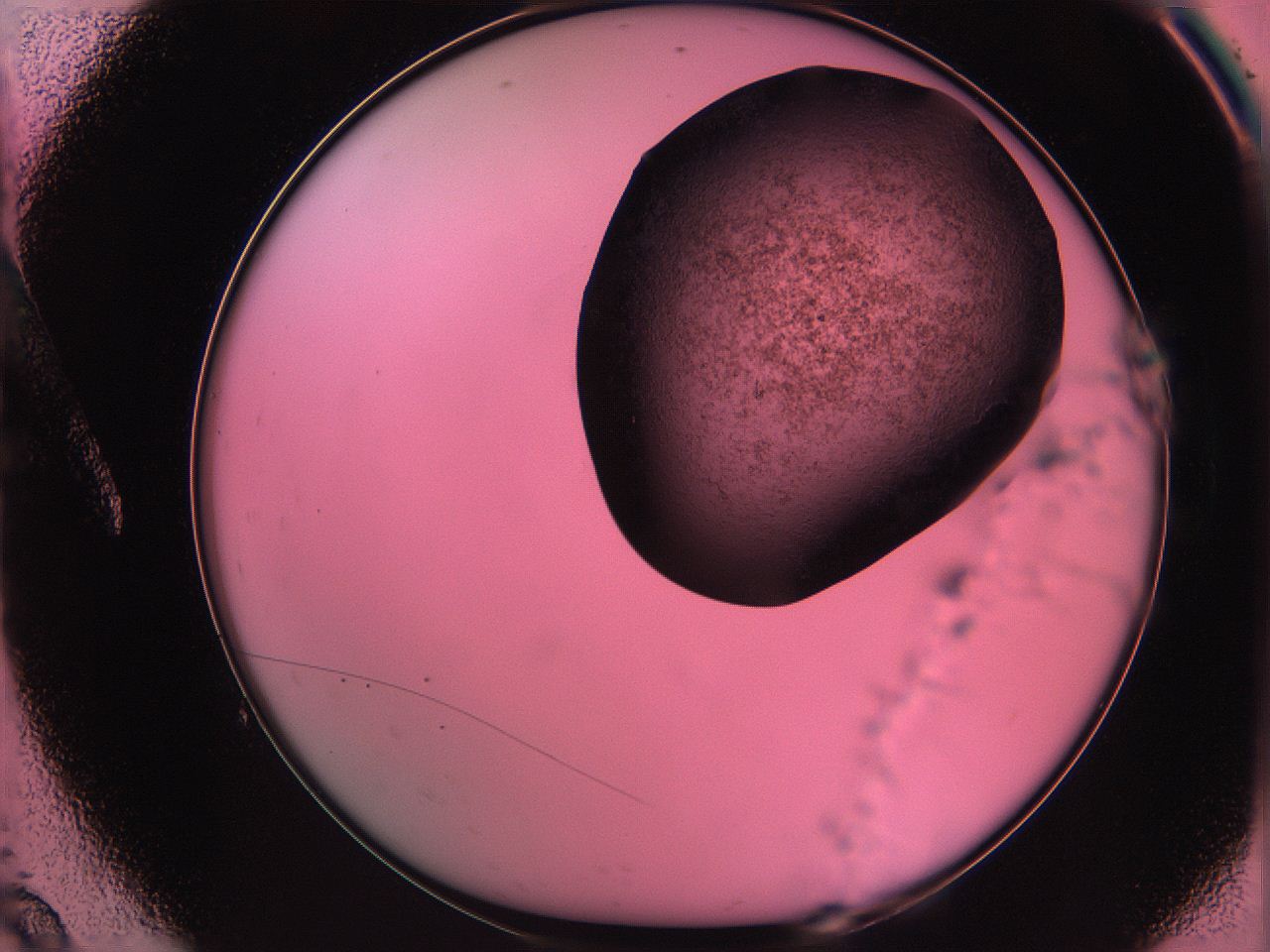 061o_A9_ImagerDefaults_3.jpg
