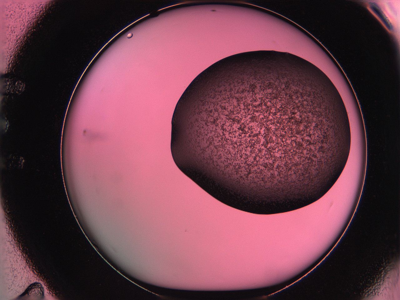 061o_E11_ImagerDefaults_3.jpg