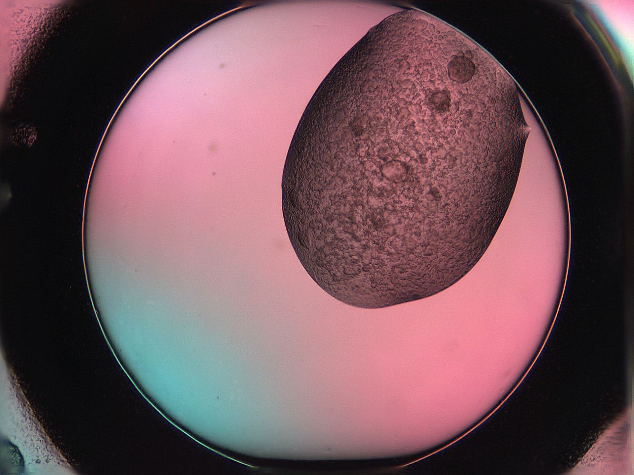 061o_F2_ImagerDefaults_3.jpg