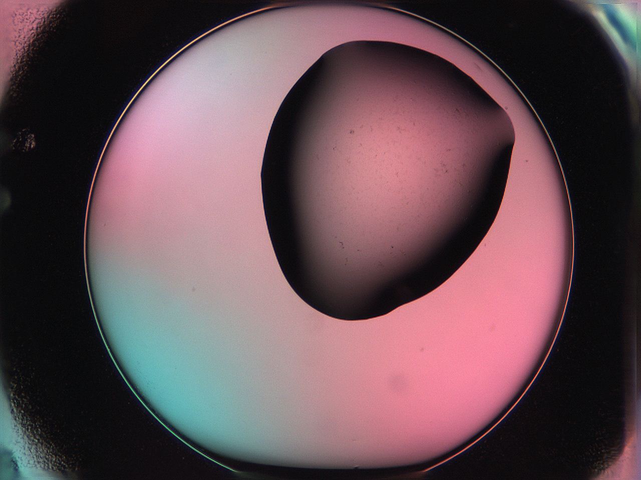 061o_F4_ImagerDefaults_0.jpg
