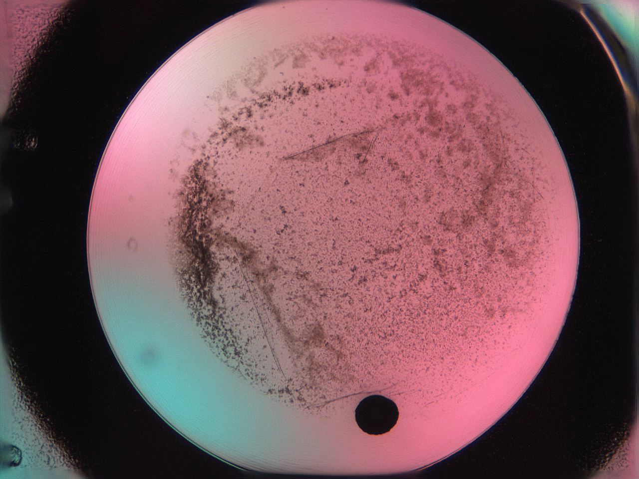 061o_F5_ImagerDefaults_3.jpg