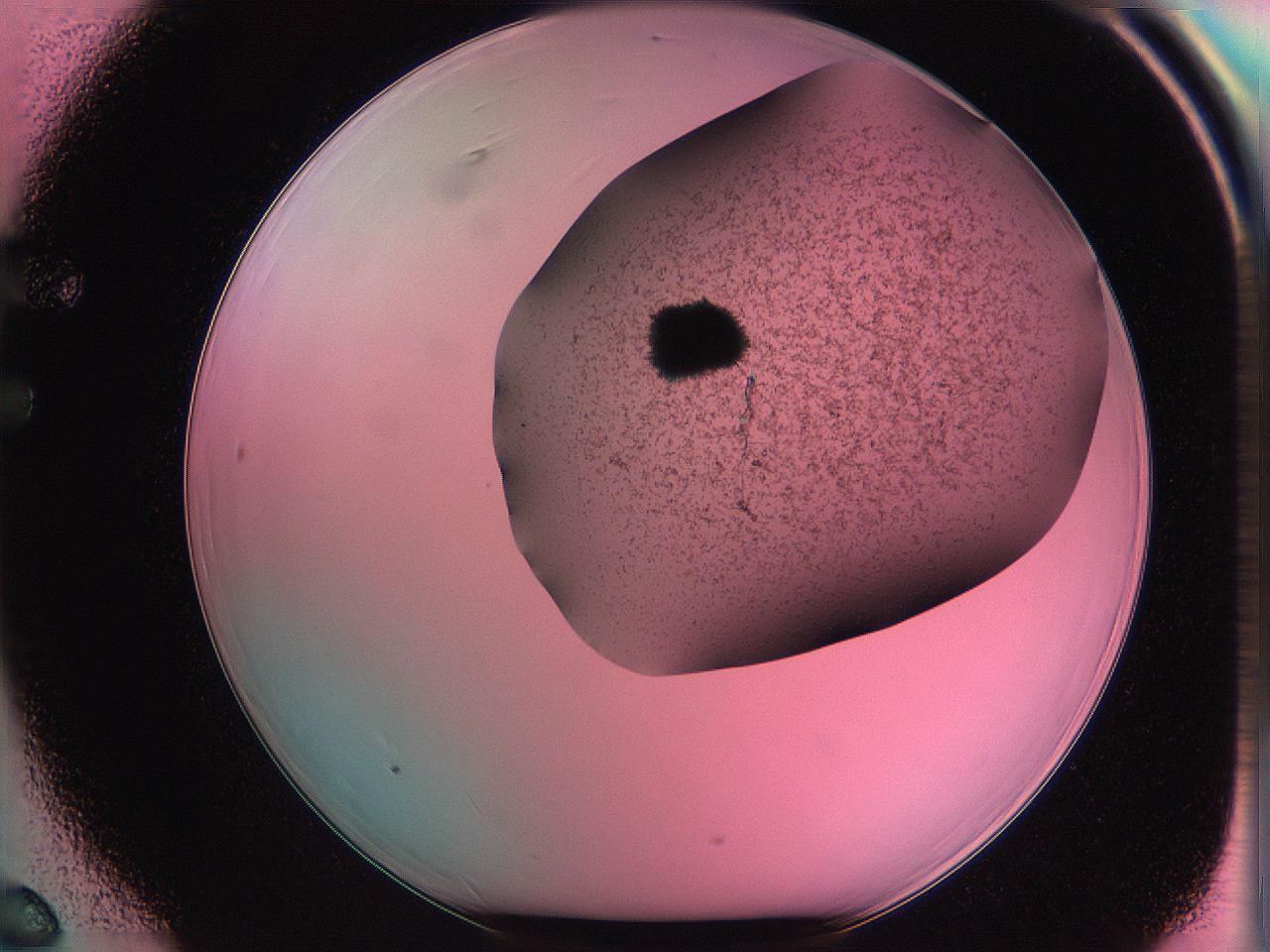 061o_F6_ImagerDefaults_3.jpg