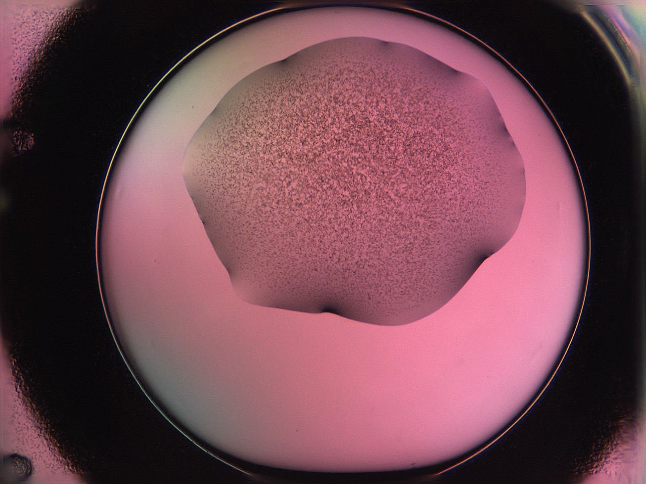 061o_F7_ImagerDefaults_3.jpg