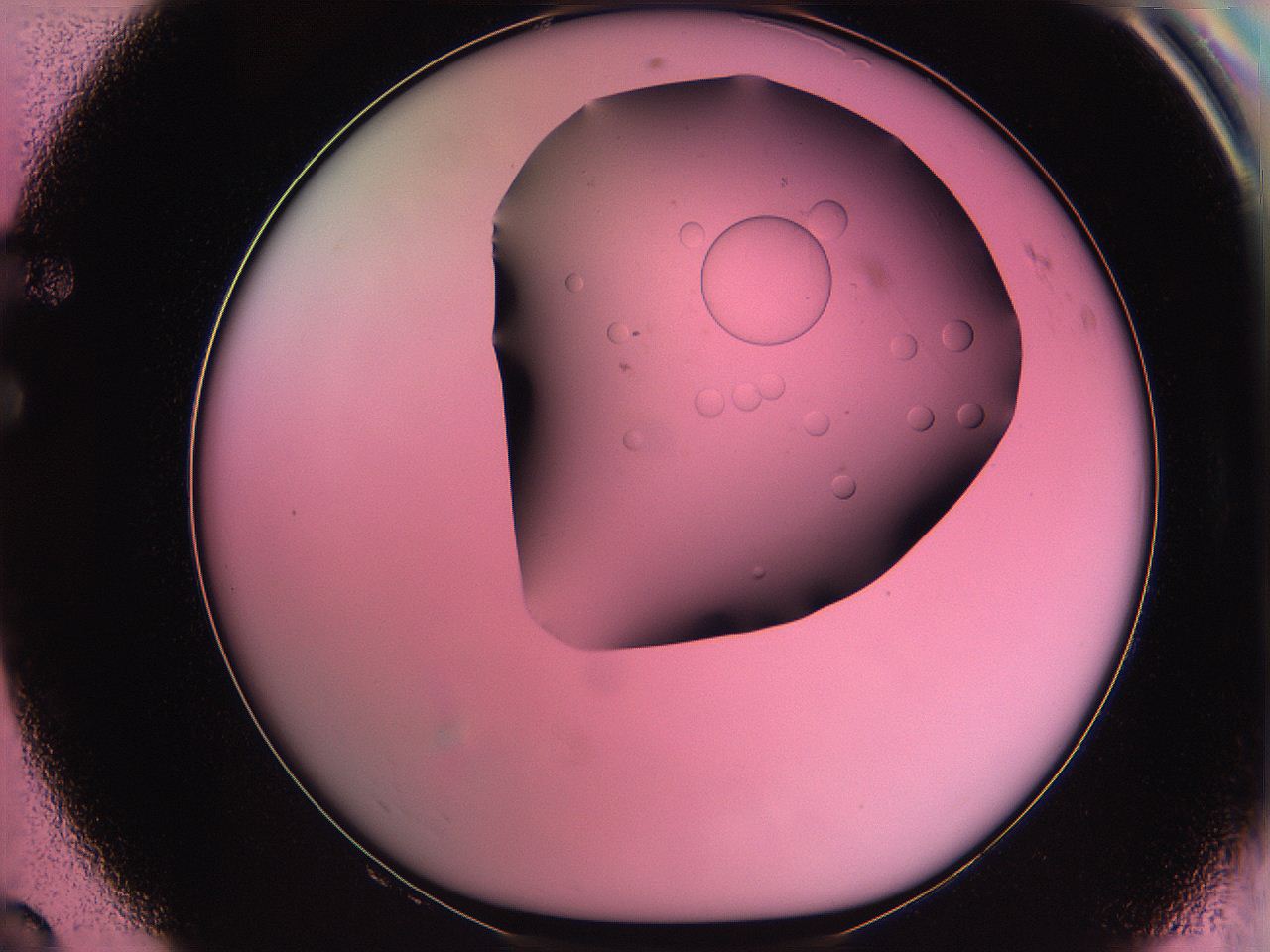 061o_F8_ImagerDefaults_5.jpg