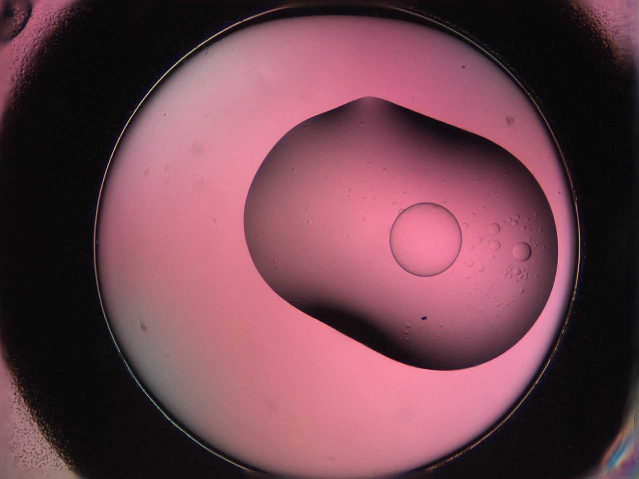 061o_F8_ImagerDefaults_2.jpg