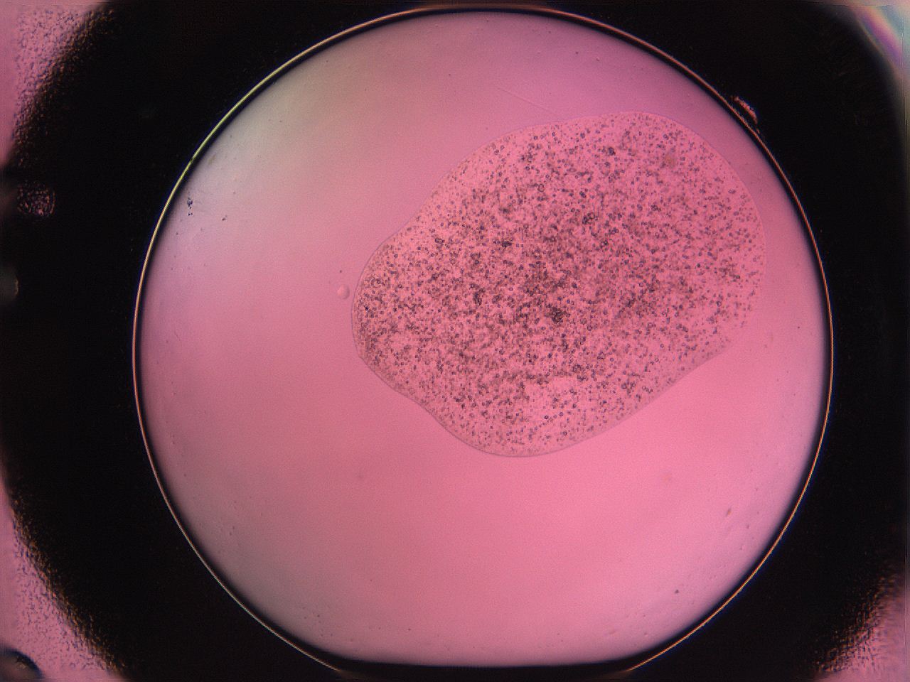 061o_F9_ImagerDefaults_3.jpg