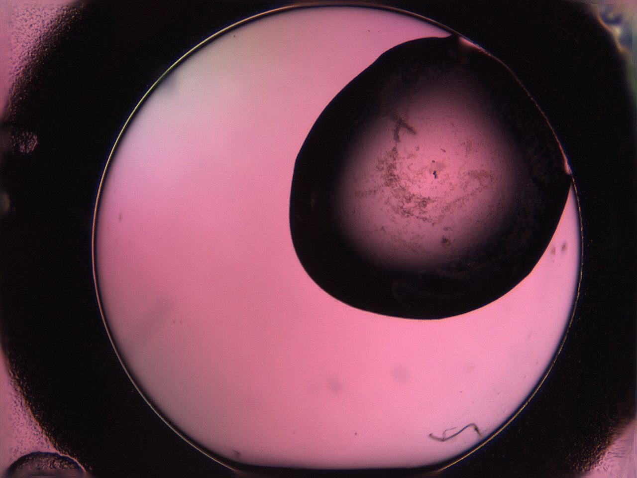 061o_F10_ImagerDefaults_3.jpg