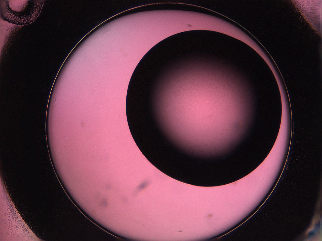 061o_F10_ImagerDefaults_0.jpg