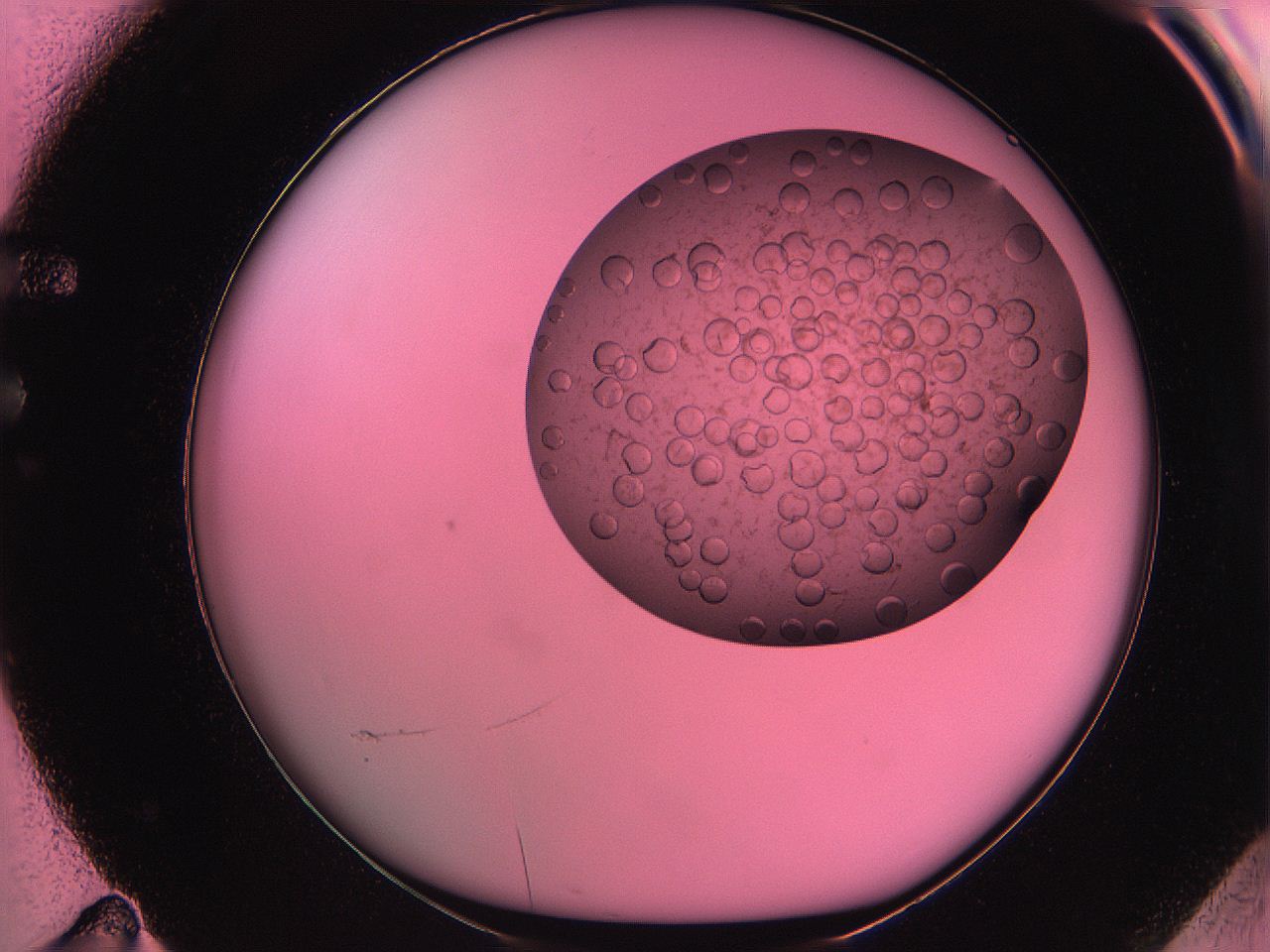 061o_F11_ImagerDefaults_5.jpg