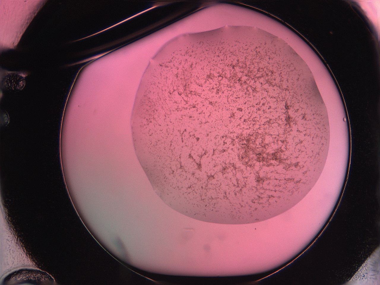 061o_F12_ImagerDefaults_3.jpg