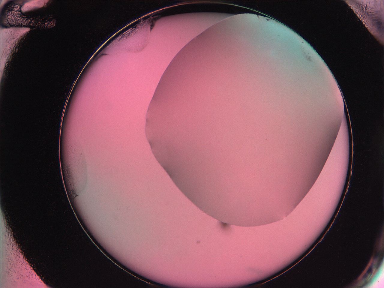061o_F12_ImagerDefaults_0.jpg