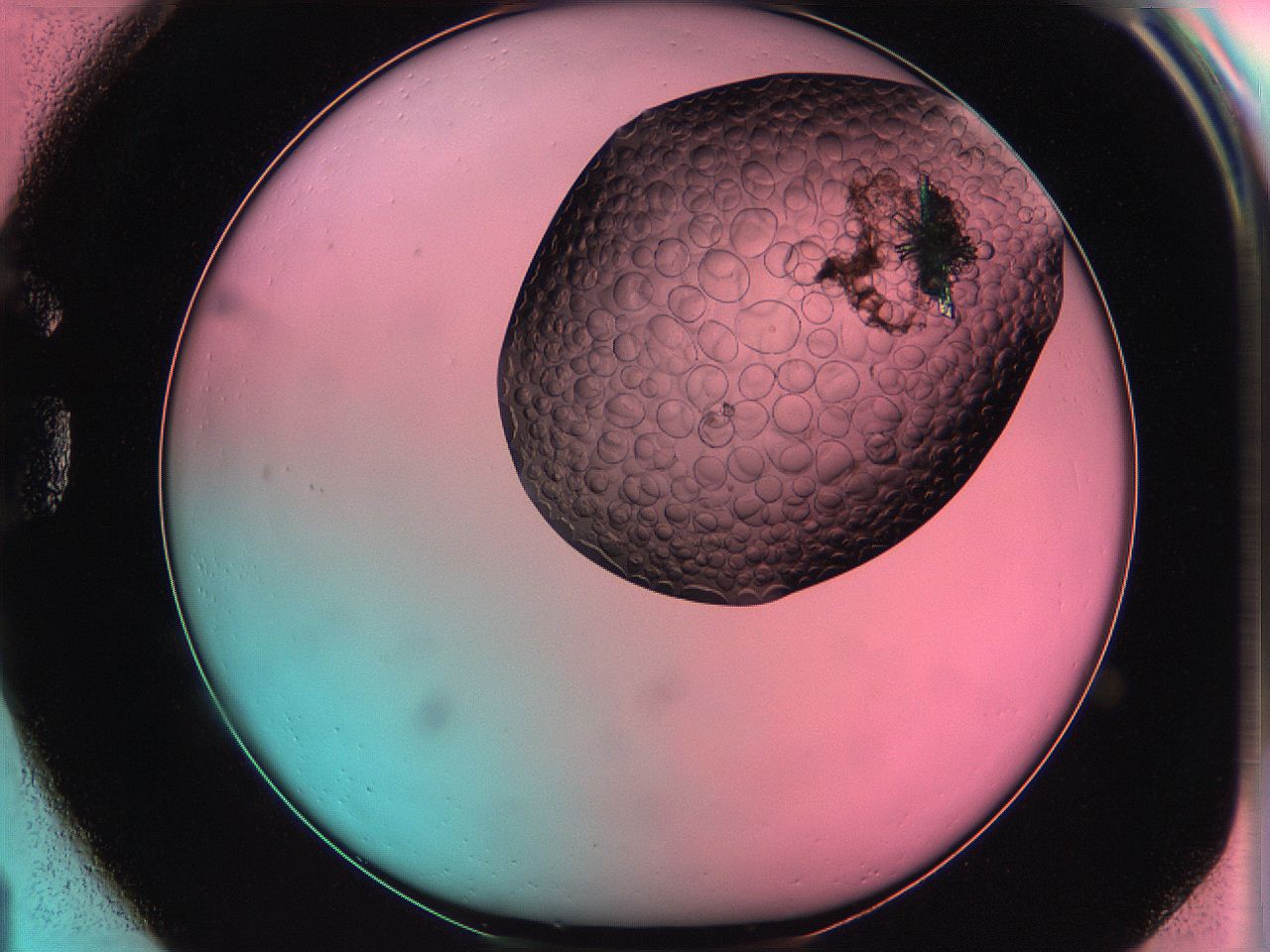 061o_G1_ImagerDefaults_5.jpg