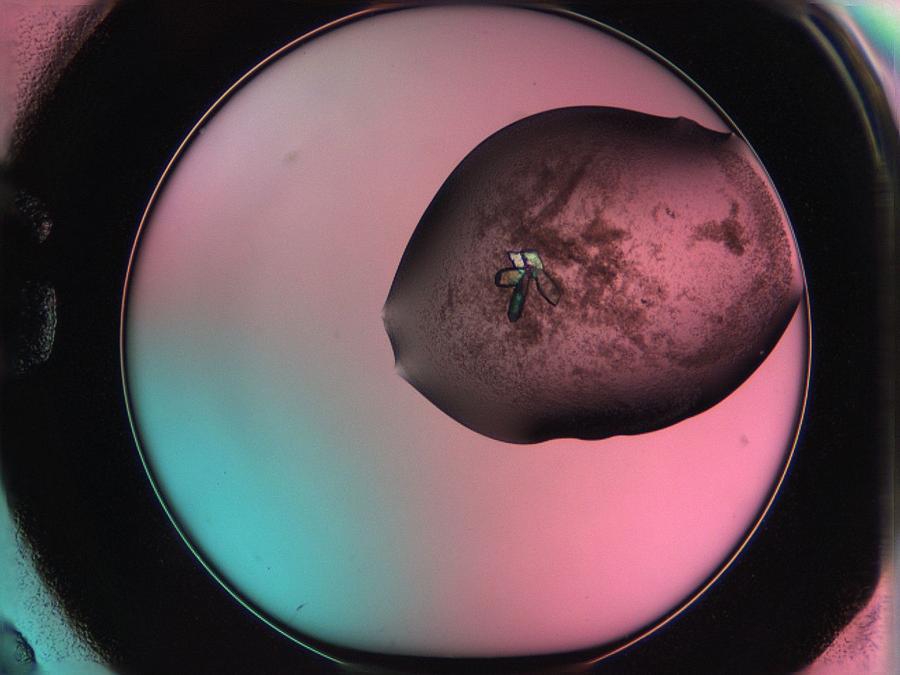 061o_G2_ImagerDefaults_3.jpg