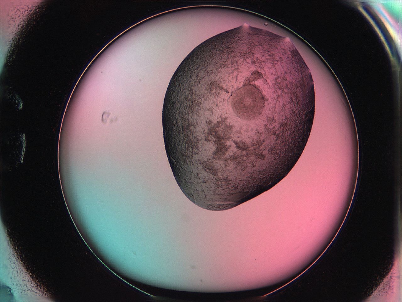061o_G4_ImagerDefaults_3.jpg