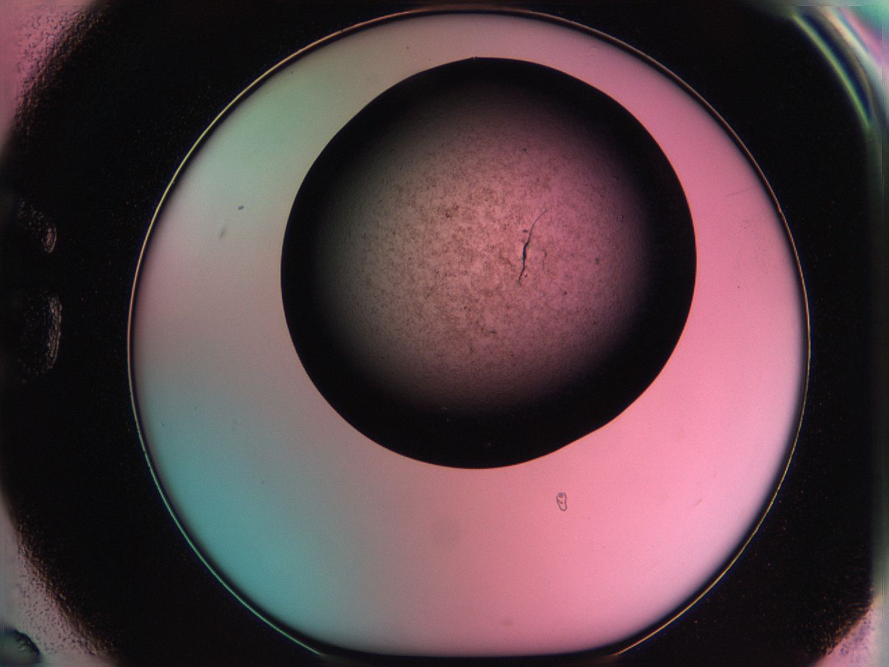 061o_G6_ImagerDefaults_3.jpg