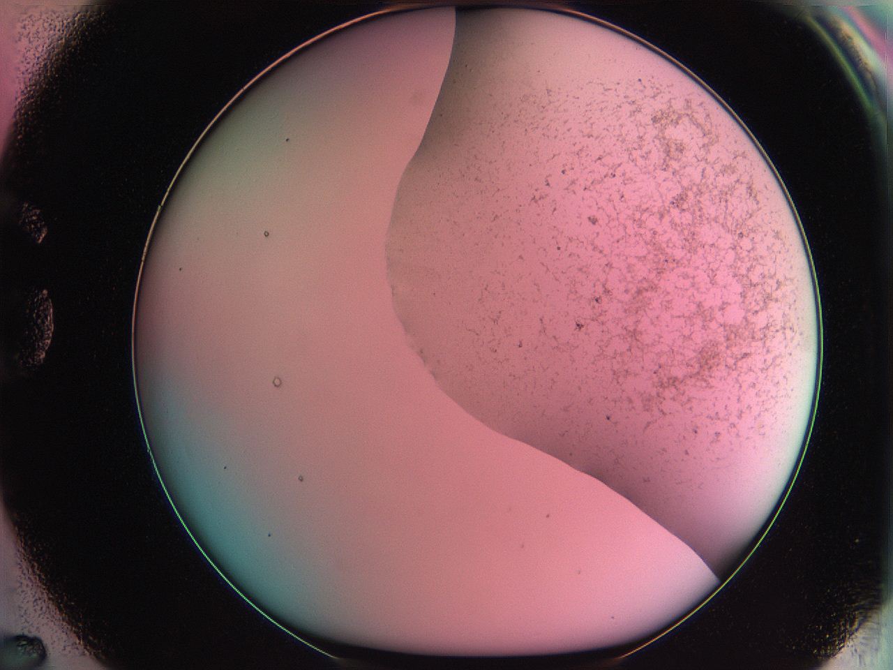 061o_G7_ImagerDefaults_3.jpg