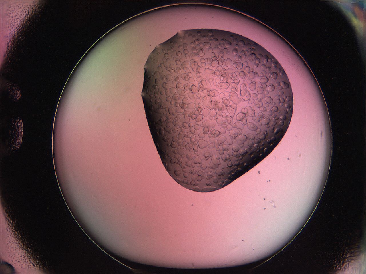 061o_G8_ImagerDefaults_5.jpg