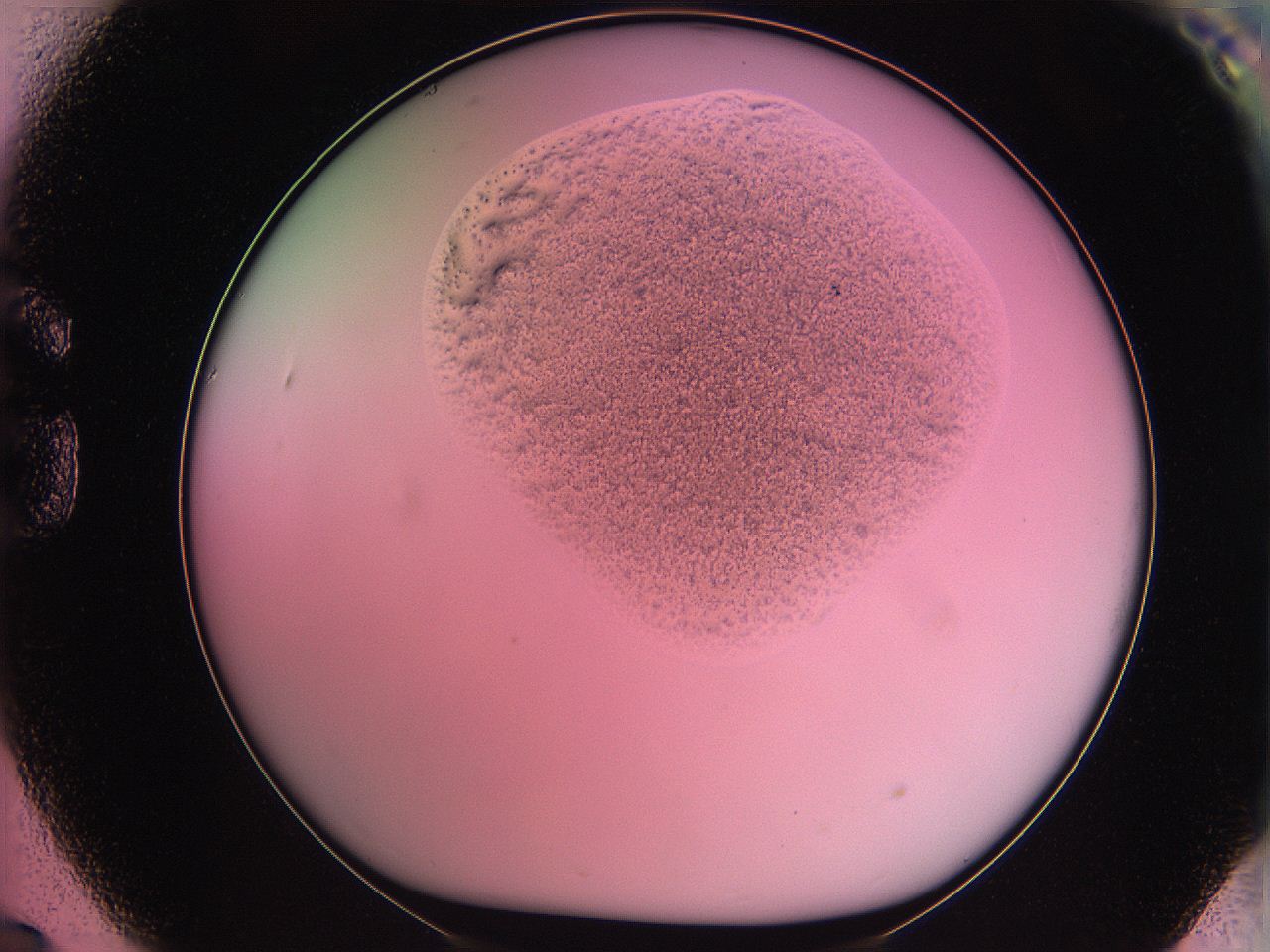 061o_G9_ImagerDefaults_3.jpg