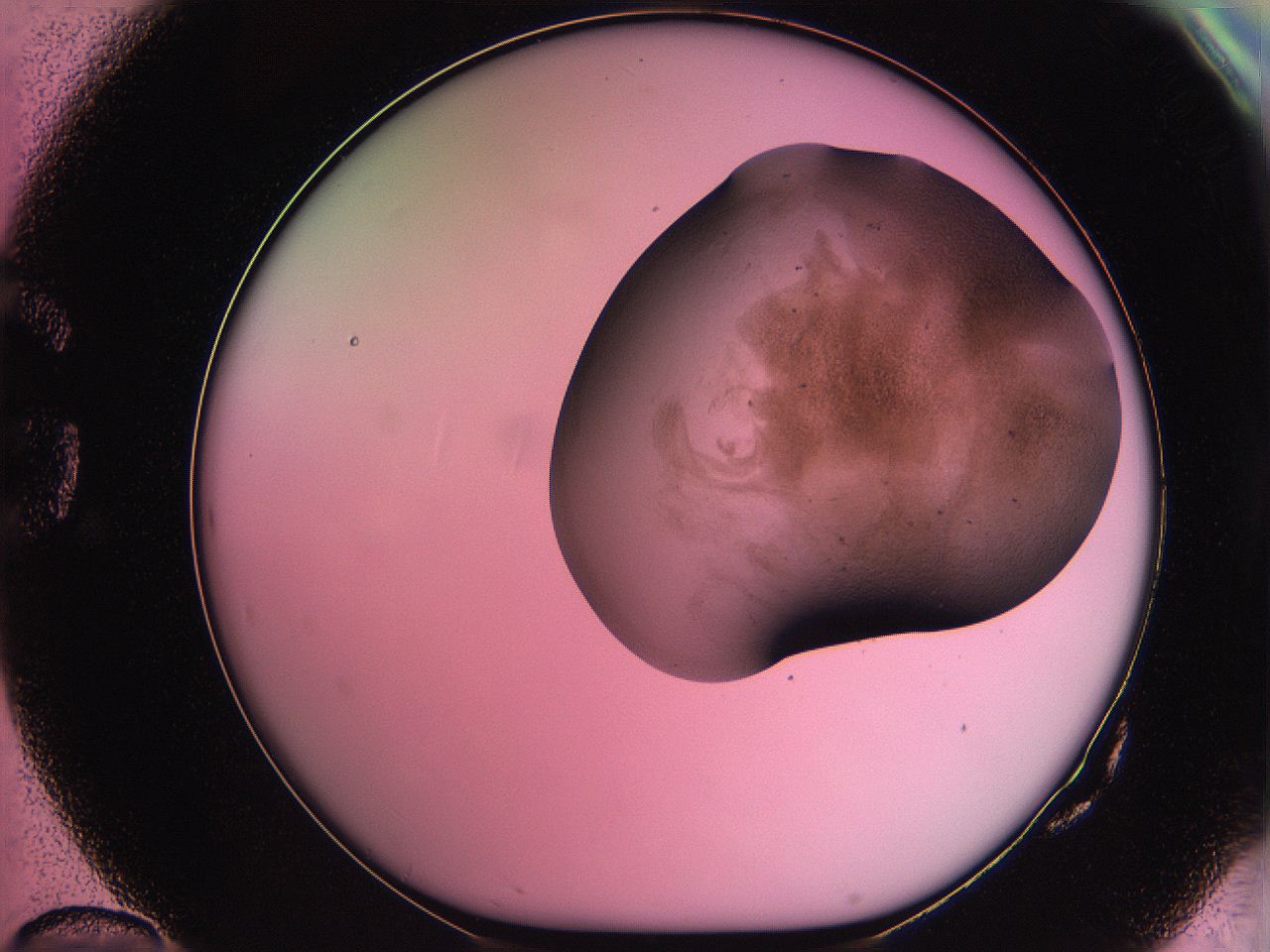061o_G10_ImagerDefaults_3.jpg